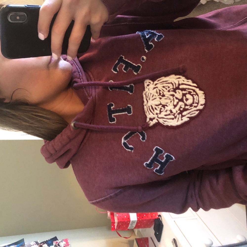 Hoodie (maroon)